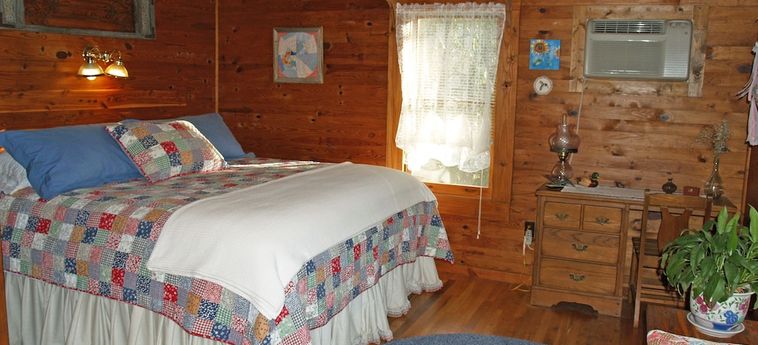 HENSON COVE PLACE B&B WITH CABIN 2 Sterne
