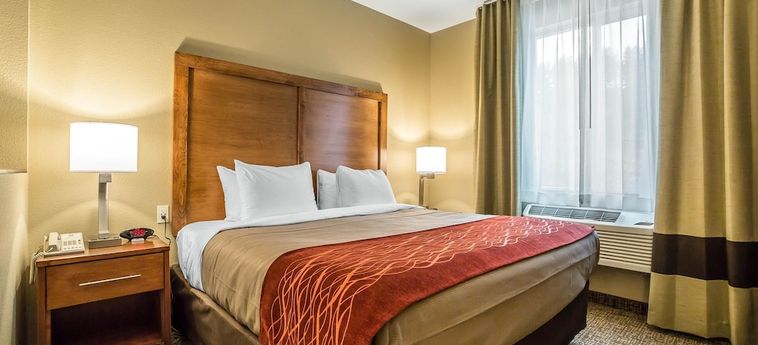 Hotel Comfort Inn & Suites Near Mt. Rushmore:  HILL CITY (SD)