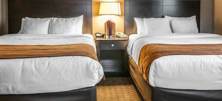 Hotel Comfort Suites, Hobbs:  HOBBS (NM)