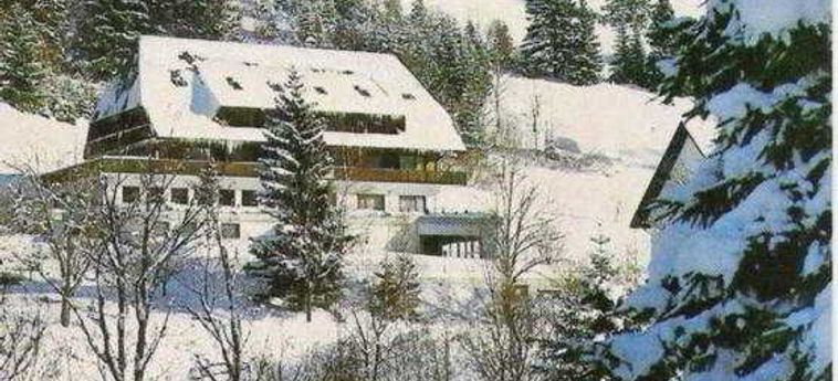 Schwarzwaldhotel Sonnehof:  HOCHENSCHWAND