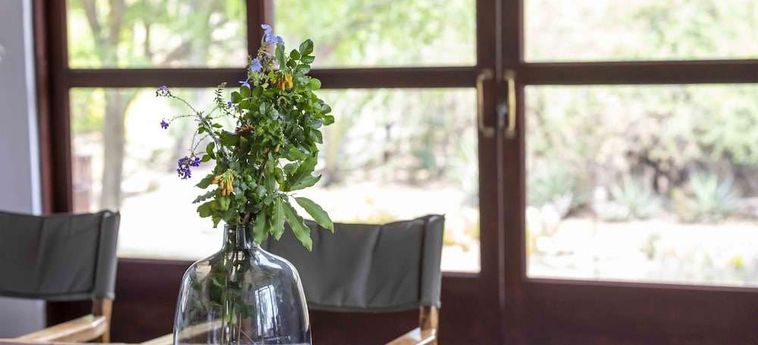 Hotel Amukela Game Lodge Hoedspruit: Foto 