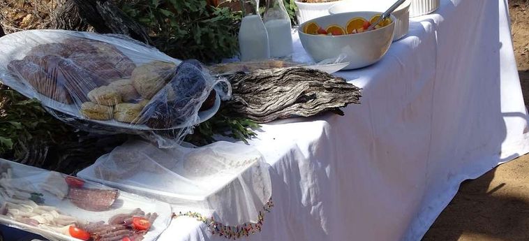 Hotel Amukela Game Lodge Hoedspruit: Foto 