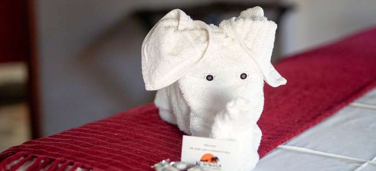 Hotel Amukela Game Lodge Hoedspruit: Foto 