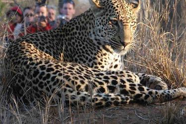 Hotel Shumbalala Game Lodge Hoedspruit: Photo 