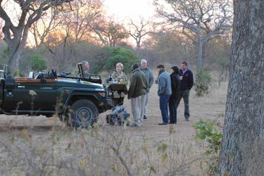 Hotel Thornybush Game Lodge Hoedspruit: Photo 