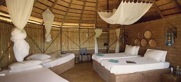 Hotel Umlani Bushcamp - Lodge Hoedspruit: Foto 