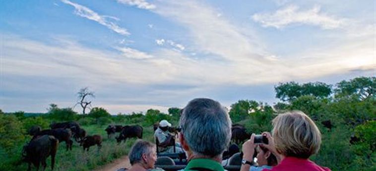 Hotel Umlani Bushcamp - Lodge Hoedspruit: Foto 