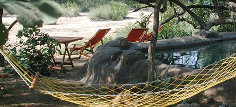 Hotel Umlani Bushcamp - Lodge Hoedspruit: Foto 