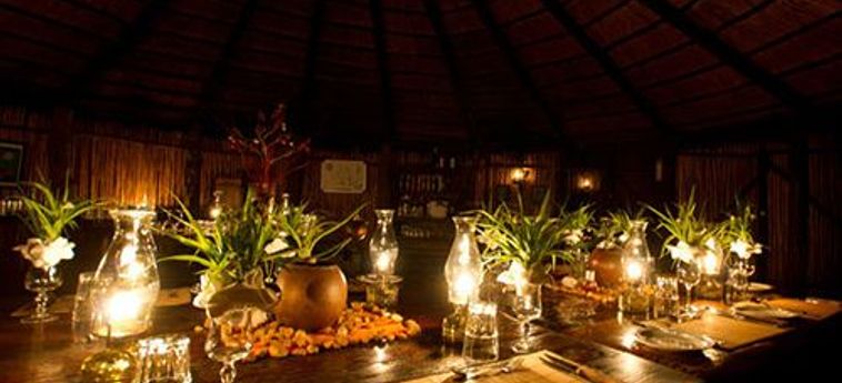 Hotel Umlani Bushcamp - Lodge Hoedspruit: Foto 