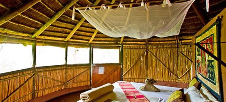 Hotel Umlani Bushcamp - Lodge Hoedspruit: Foto 