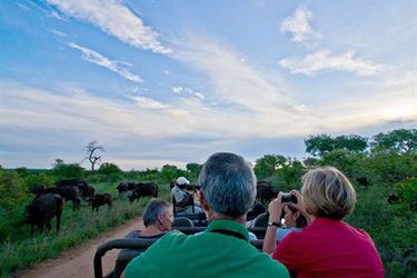 Hotel Umlani Bushcamp - Lodge Hoedspruit: Photo 