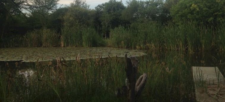 Hotel The Bush Pub &Amp; Inn Hoedspruit: Foto 