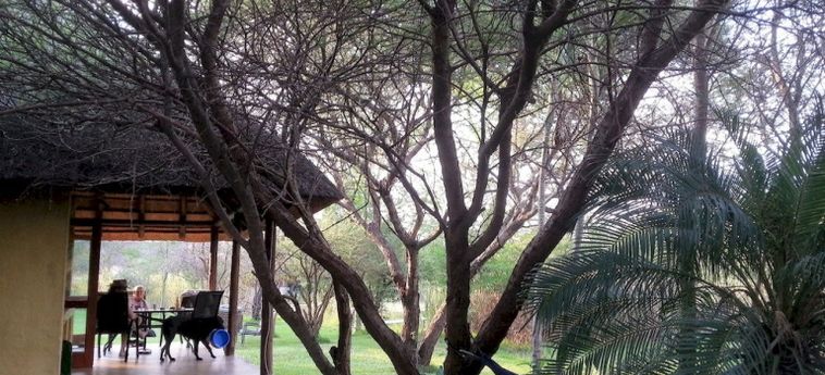 Hotel The Bush Pub &Amp; Inn Hoedspruit: Foto 
