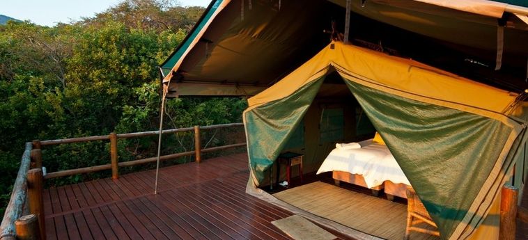 Hotel Amafu Forest Lodge Hoedspruit: Foto 