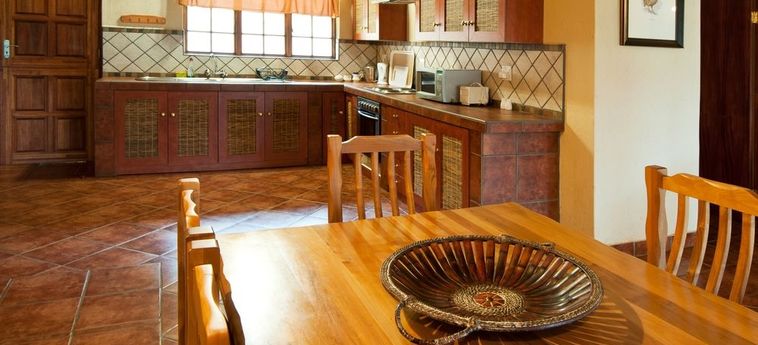 Hotel Amafu Forest Lodge Hoedspruit: Foto 