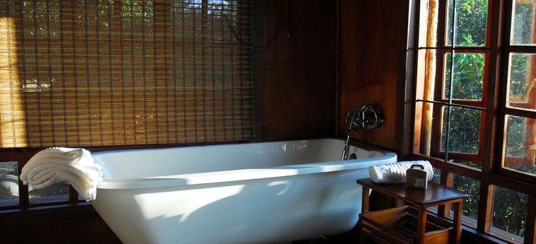 Hotel Amafu Forest Lodge Hoedspruit: Foto 