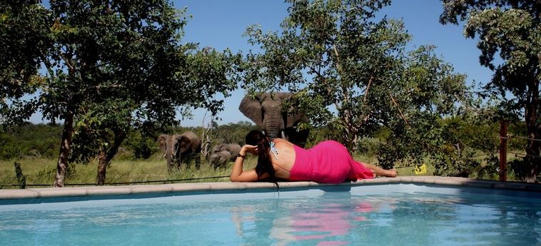 Hotel Baobab Ridge Private Lodge - All Inclusive Hoedspruit: Foto 