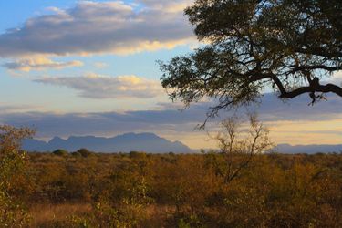 Hotel Baobab Ridge Private Lodge - All Inclusive Hoedspruit: Photo 