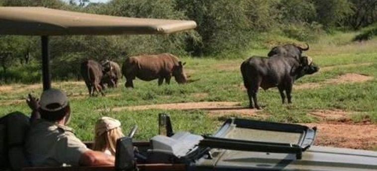 Hotel Tshukudu Game Lodge Hoedspruit: Foto 