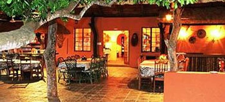 Hotel Tshukudu Game Lodge Hoedspruit : Photo 