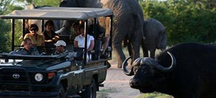 Hotel Tshukudu Game Lodge Hoedspruit: Foto 
