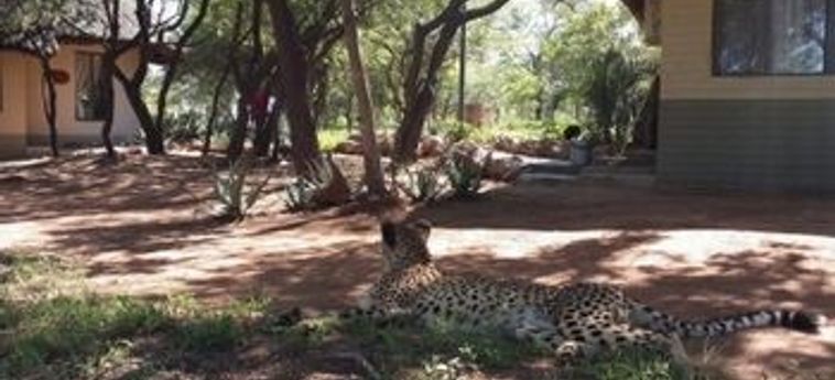 Hotel Tshukudu Game Lodge Hoedspruit: Foto 