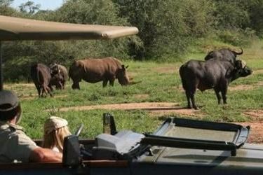 Hotel Tshukudu Game Lodge Hoedspruit: Photo 