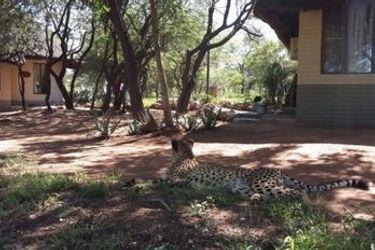 Hotel Tshukudu Game Lodge Hoedspruit: Photo 