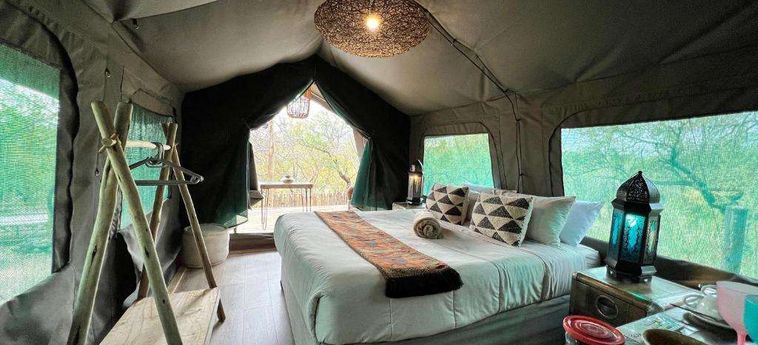 Hotel The Wild Blue Lodge Safari &Amp; Spa Hoedspruit : Photo 