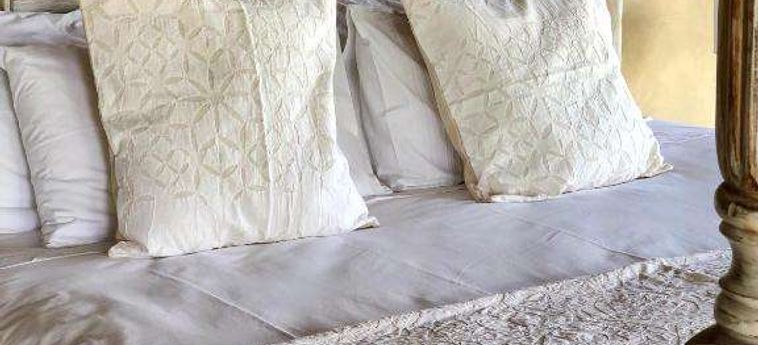 Hotel The Wild Blue Lodge Safari &Amp; Spa Hoedspruit : Photo 