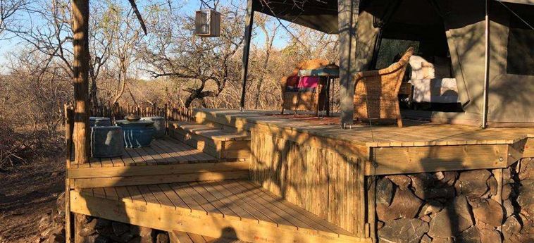 Hotel The Wild Blue Lodge Safari &Amp; Spa Hoedspruit: Foto 