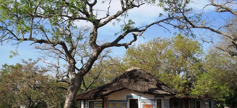 Hotel Timbavati Safari Lodge Hoedspruit: Foto 