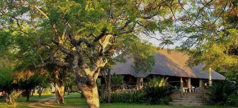 Hotel Timbavati Safari Lodge Hoedspruit: Foto 