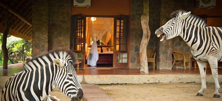 Hotel Blyde River Canyon Lodge Hoedspruit : Photo 