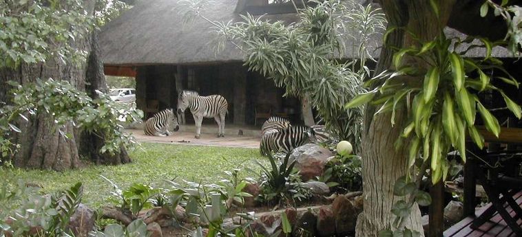 Hotel Blyde River Canyon Lodge Hoedspruit: Foto 