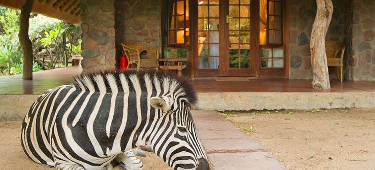 Hotel Blyde River Canyon Lodge Hoedspruit: Foto 