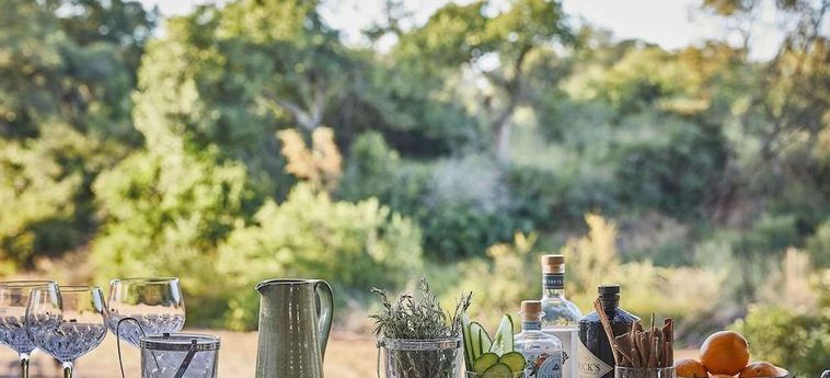 Hotel Saseka Tented Camp Hoedspruit: Foto 