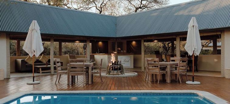 Hotel Leopard's Bend Bush Lodge - All Inclusive Hoedspruit: Foto 