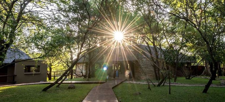 Hotel The Island River Lodge Hoedspruit: Foto 