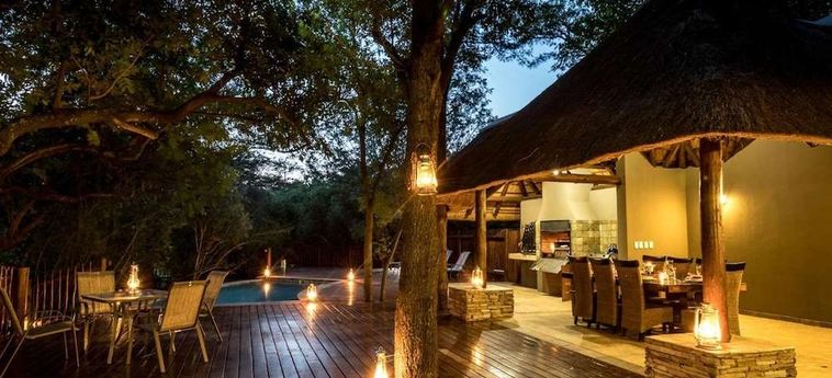 Hotel The Island River Lodge Hoedspruit: Foto 