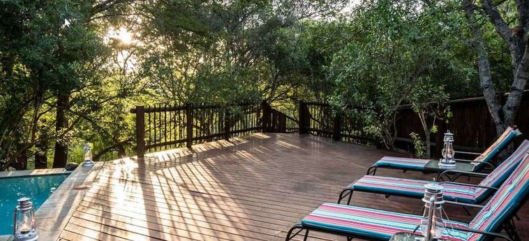Hotel The Island River Lodge Hoedspruit: Foto 