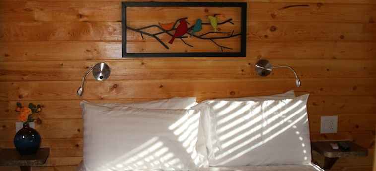 Hotel Holbrook Koa Holbrook (Az): Foto 