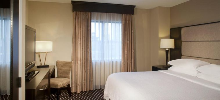 Hotel Embassy Suites By Hilton Houston Near The Galleria:  HOUSTON (TX)