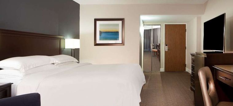 Hotel Hilton Houston Nasa Clear Lake Houston (Tx): Foto 