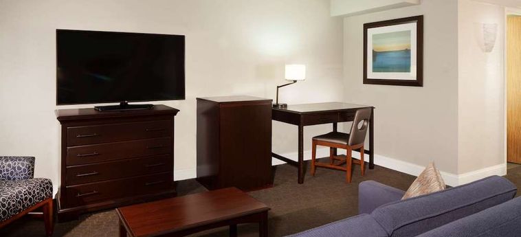 Hotel Hilton Houston Nasa Clear Lake Houston (Tx): Foto 