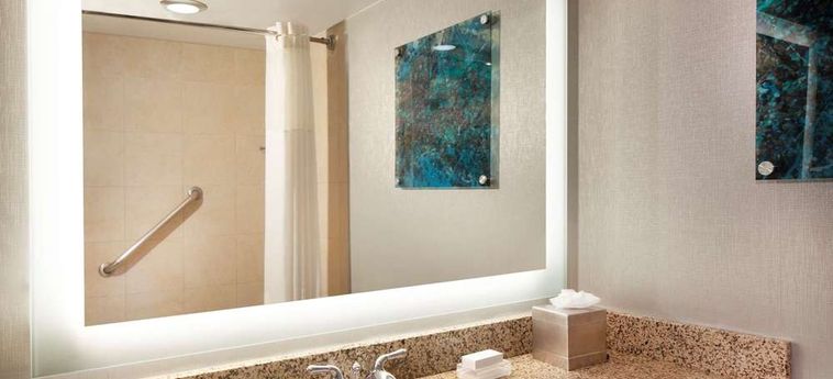 Hotel Hilton Houston Nasa Clear Lake Houston (Tx): Foto 