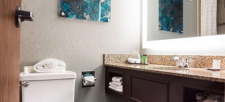 Hotel Hilton Houston Nasa Clear Lake Houston (Tx) : Photo 