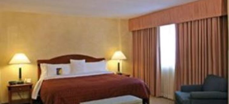 Hotel Sheraton Houston North At George Bush Intercontinental:  HOUSTON (TX)