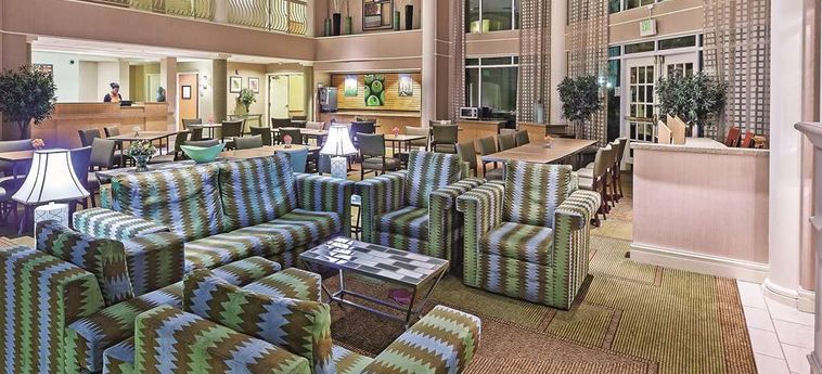 Hotel La Quinta Inn & Suites Houston Galleria Area:  HOUSTON (TX)