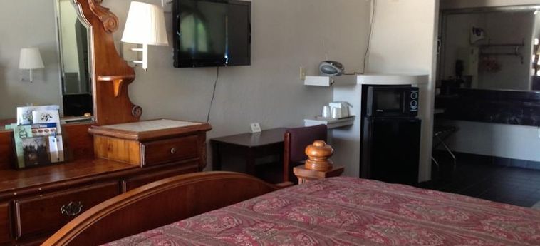Hotel Rodeway Inn & Suites:  HOUSTON (TX)
